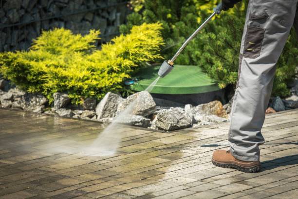 Best Animal Enclosure Cleaning  in Jones Valley, CA