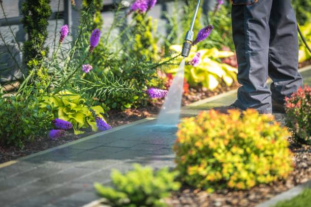 Best Sidewalk and Walkway Cleaning  in Jones Valley, CA