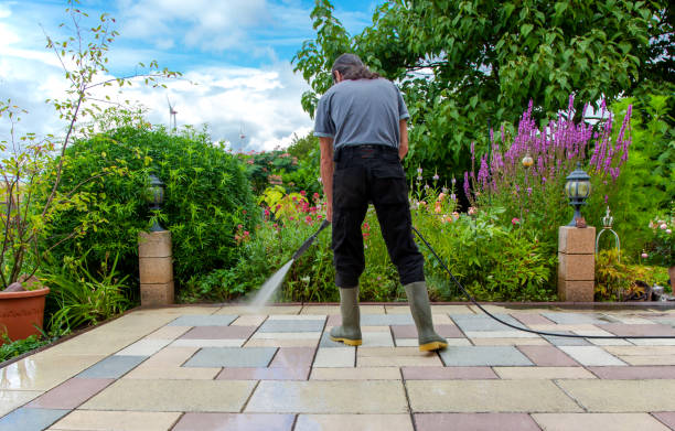 Best Driveway Pressure Washing  in Jones Valley, CA